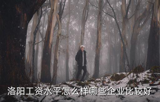 洛陽工資水平怎么樣哪些企業比較好