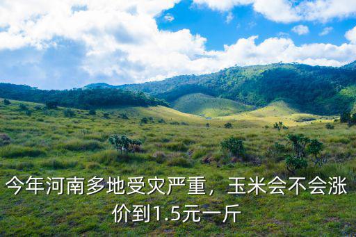 河南永城玉米多少錢斤,一畝地需要多少斤玉米種子