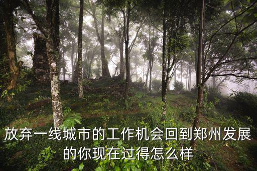 放棄一線(xiàn)城市的工作機(jī)會(huì)回到鄭州發(fā)展的你現(xiàn)在過(guò)得怎么樣