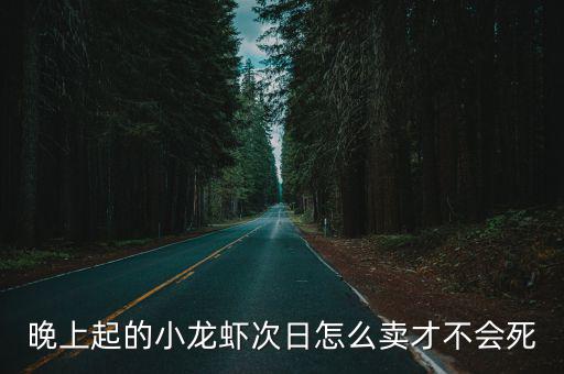 晚上起的小龍蝦次日怎么賣才不會死