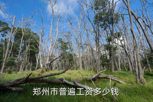 鄭州市普遍工資多少錢