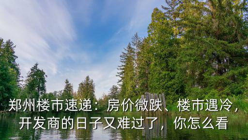 鄭州開發商日子怎么樣,開發商的日子是否好過