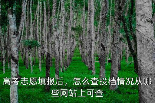 高考志愿填報后，怎么查投檔情況從哪些網(wǎng)站上可查