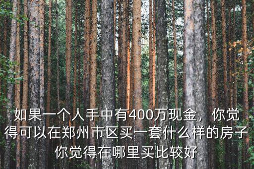如果一個人手中有400萬現金，你覺得可以在鄭州市區買一套什么樣的房子你覺得在哪里買比較好