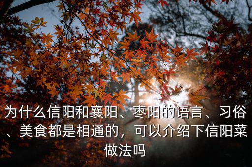 信陽旱千張怎么做的,信陽哪里的豆腐做的最好