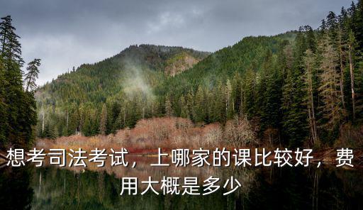河南司法考試報名費多少,想考司法考試