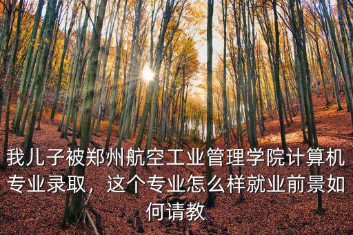 我兒子被鄭州航空工業管理學院計算機專業錄取，這個專業怎么樣就業前景如何請教