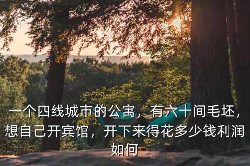 一個四線城市的公寓，有六十間毛坯，想自己開賓館，開下來得花多少錢利潤如何
