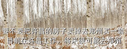 要不要把許昌的房子賣掉去鄭州買一套目前在許昌工作，將來很可能去鄭州