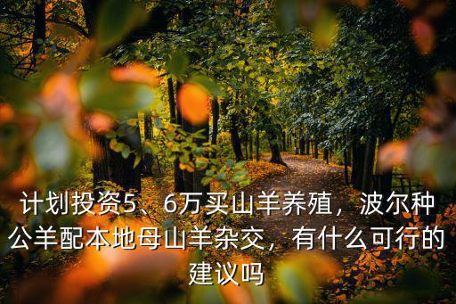 計(jì)劃投資5、6萬買山羊養(yǎng)殖，波爾種公羊配本地母山羊雜交，有什么可行的建議嗎