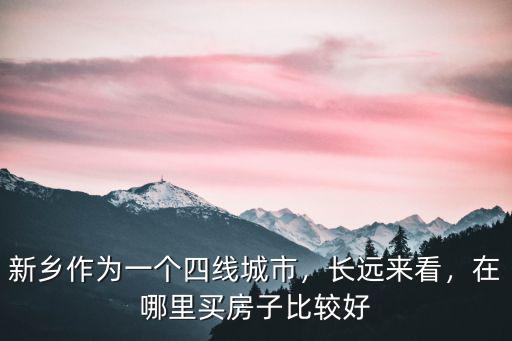 新鄉作為一個四線城市，長遠來看，在哪里買房子比較好