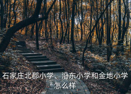 北郡小學(xué)怎么樣鄭州,石家莊北郡小學(xué)