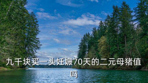九千塊買一頭妊娠70天的二元母豬值嗎