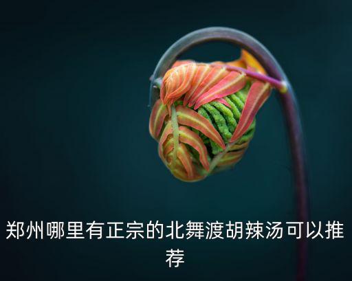鄭州哪里有正宗的北舞渡胡辣湯可以推薦