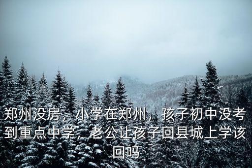 鄭州沒房，小學在鄭州，孩子初中沒考到重點中學，老公讓孩子回縣城上學該回嗎