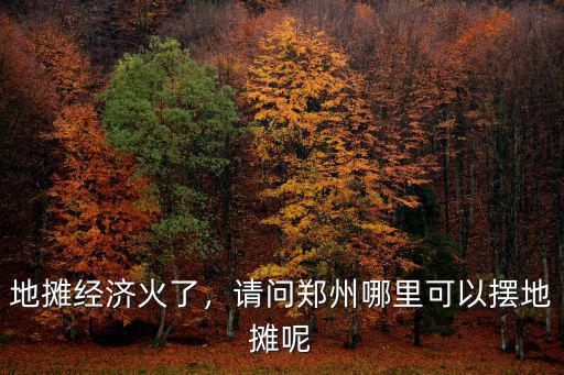 地?cái)偨?jīng)濟(jì)火了，請(qǐng)問(wèn)鄭州哪里可以擺地?cái)偰? class=
