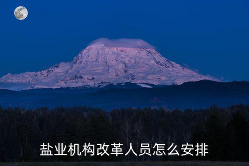 商丘鹽業改革職工怎么安置,鹽業機構改革人員怎么安排