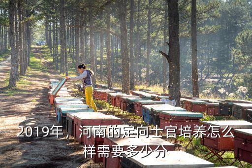 多少分能被河南定向士官錄取,河南的定向士官培養怎么樣