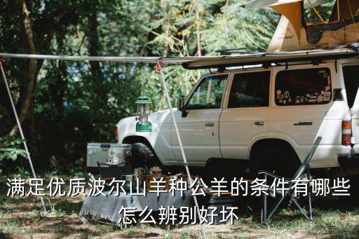開(kāi)封哪里有波爾山羊繁育種公羊,波爾種公羊配本地母山羊雜交