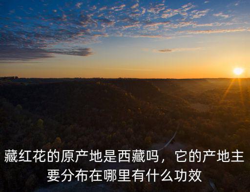 藏紅花的原產(chǎn)地是西藏嗎，它的產(chǎn)地主要分布在哪里有什么功效