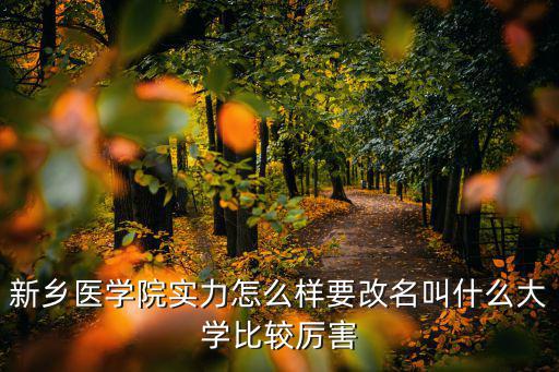 新鄉醫學院實力怎么樣要改名叫什么大學比較厲害