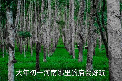 大年初一河南哪里的廟會好玩