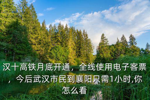 漢十高鐵月底開通，全線使用電子客票，今后武漢市民到襄陽只需1小時,你怎么看