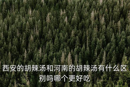 西安的胡辣湯和河南的胡辣湯有什么區別嗎哪個更好吃