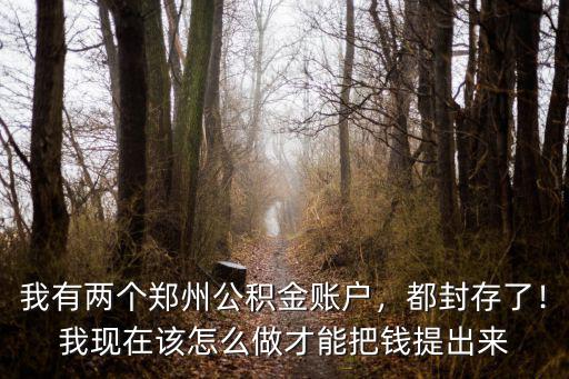 鄭州封存的公積金該怎么提取,鄭州公積金怎么提取