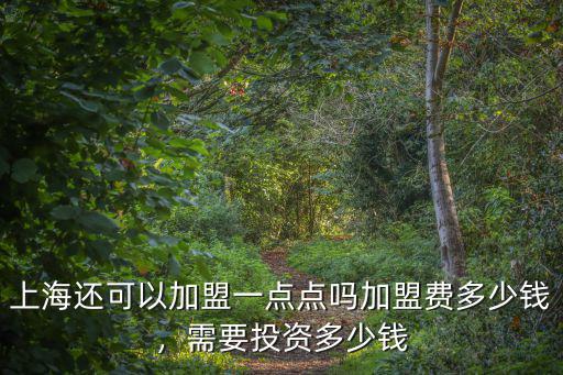 上海還可以加盟一點點嗎加盟費多少錢，需要投資多少錢