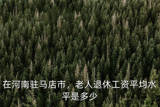 在河南駐馬店市，老人退休工資平均水平是多少