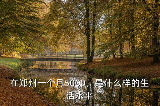 鄭州洗鞋店一個月多少錢收入,在鄭州一個月5000