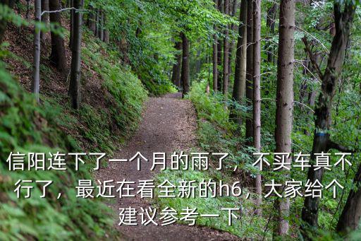信陽連下了一個月的雨了，不買車真不行了，最近在看全新的h6，大家給個建議參考一下