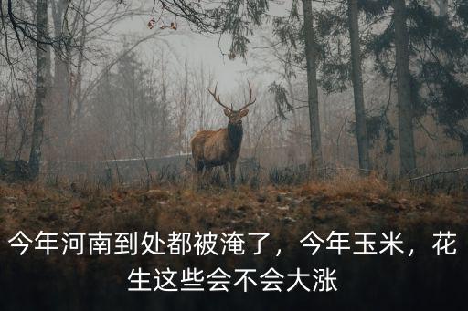今年河南到處都被淹了，今年玉米，花生這些會(huì)不會(huì)大漲
