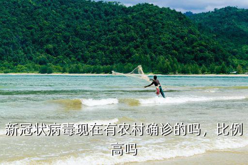 開封市有多少新型冠狀病毒,新型冠狀病毒到底有多可怕