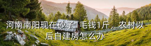 河南南陽市農村芝麻多少錢1斤,河南南陽彩禮多少錢