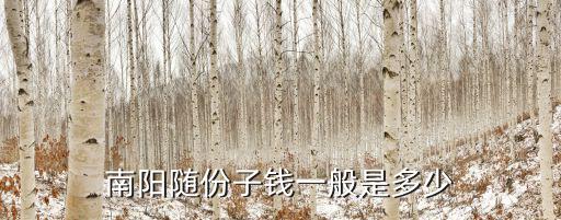 南陽再婚隨多少禮,南陽隨份子錢一般是多少