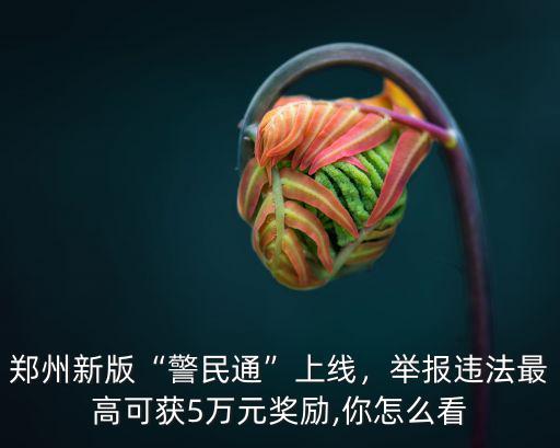 鄭州警民通怎么報(bào)警,鄭州新版警民通上線