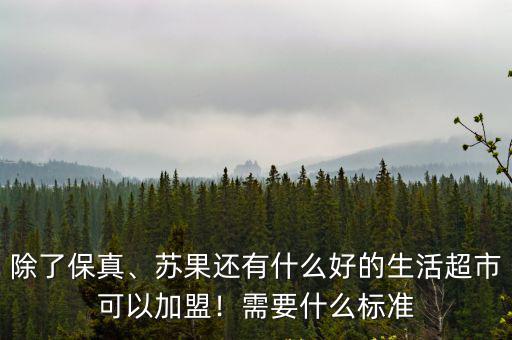 除了保真、蘇果還有什么好的生活超市可以加盟！需要什么標(biāo)準(zhǔn)