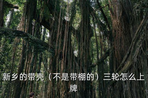 新鄉市哪里有出租三輪車的,電三輪不準進新鄉市有規定嗎