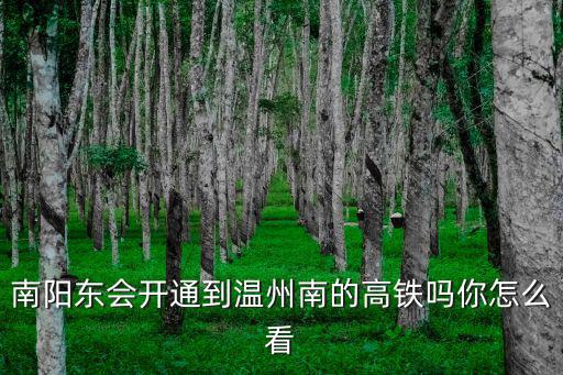 鄭渝高鐵南陽能到哪里,昆明到南陽有高鐵嗎
