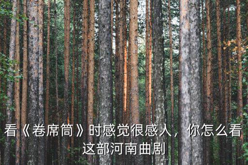 看《卷席筒》時感覺很感人，你怎么看這部河南曲劇