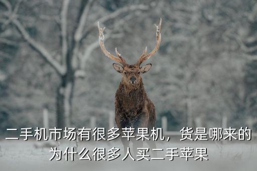 濮陽哪里有賣二手蘋果,為什么很多人買二手蘋果
