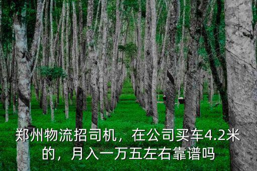 鄭州物流招司機(jī)，在公司買車4.2米的，月入一萬(wàn)五左右靠譜嗎