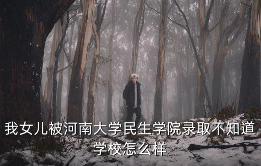 我女兒被河南大學民生學院錄取不知道學校怎么樣