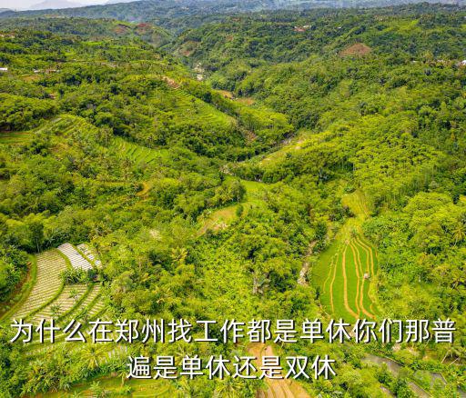 為什么在鄭州找工作都是單休你們那普遍是單休還是雙休