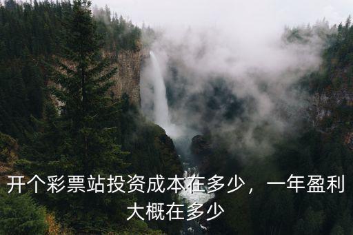 開(kāi)個(gè)彩票站投資成本在多少，一年盈利大概在多少
