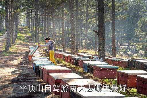 平頂山自駕游兩天去哪里最好