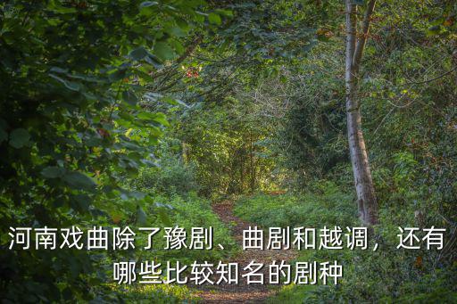 河南戲曲除了豫劇、曲劇和越調(diào)，還有哪些比較知名的劇種