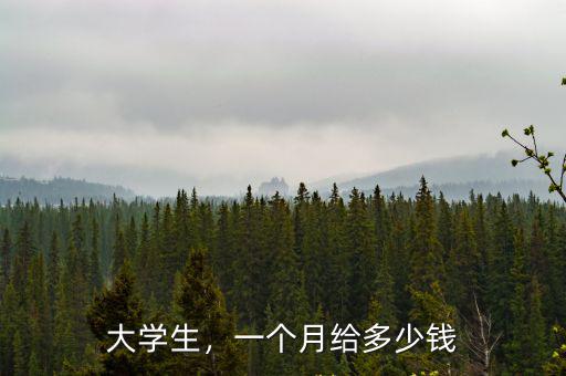 大學生，一個月給多少錢